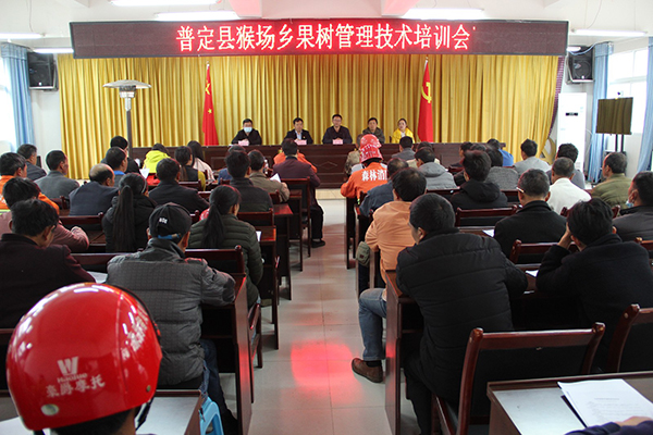 66fce7b0-e009-4c56-9b8d-1955028f00c6_IMAGE_2.jpg