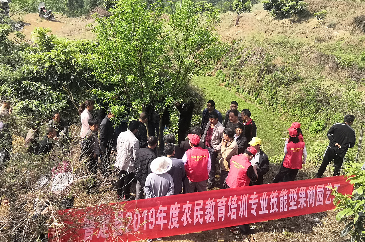 微信图片_20200417202410.jpg