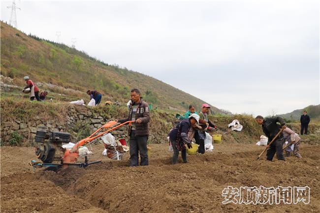坝区建设让当地农户就近务工，助农增收 (2).jpg