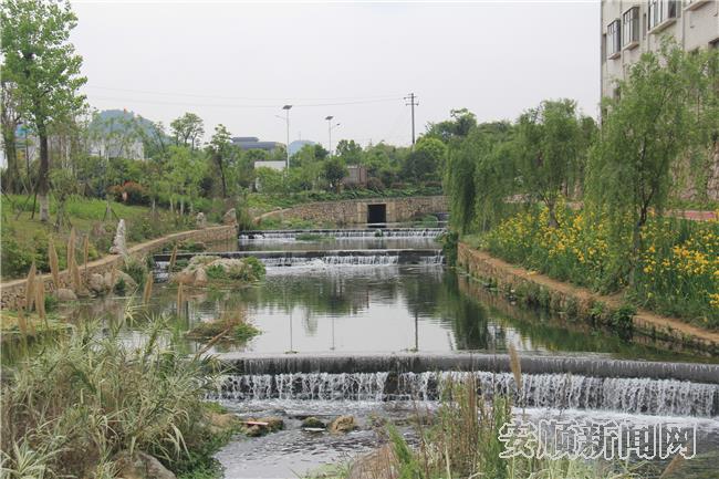 美丽的城关河.jpg
