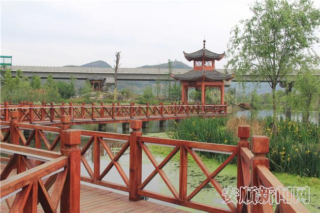 朱官凼湿地公园2.jpg