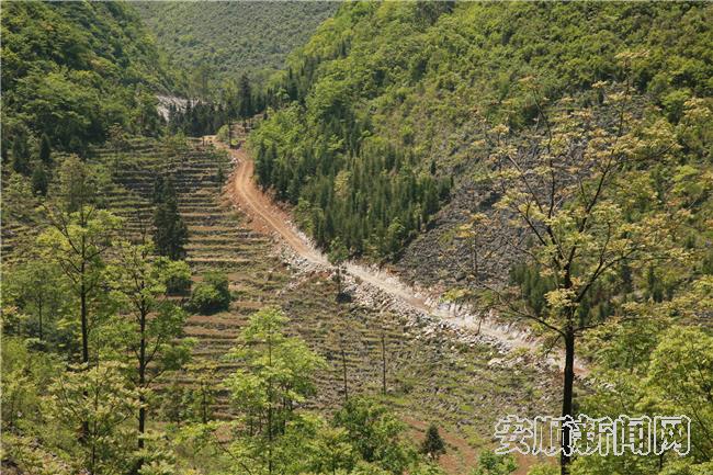 正在建立的机耕道 陈婷摄.jpg