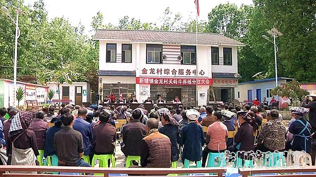 关岭金龙村：产业促增收 群众”喜分红.jpg