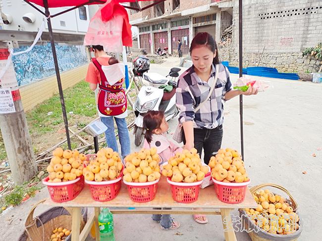 果农在街上卖枇杷.jpg