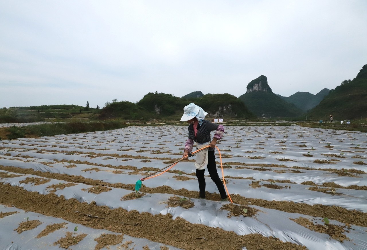 村民正在浇水.jpg