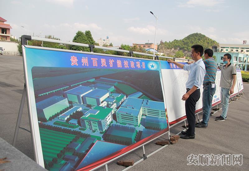 9452c736-d695-4dd0-9df1-be73ec95d48c_IMAGE_8.jpg
