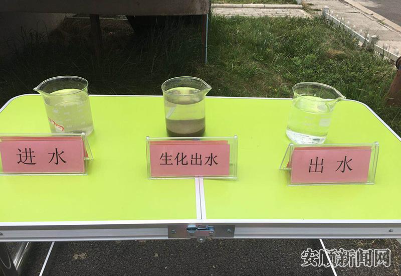 9452c736-d695-4dd0-9df1-be73ec95d48c_IMAGE_0.jpg
