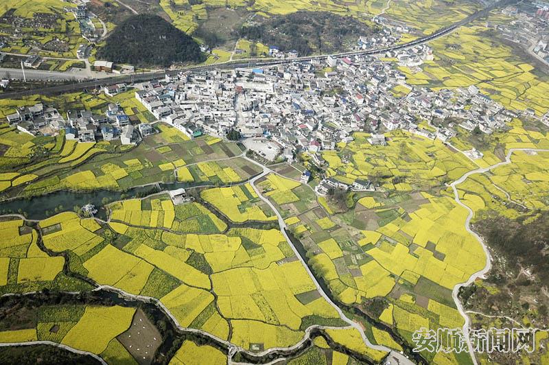 西秀区大西桥镇鲍屯村(航拍图）卢维摄.jpg