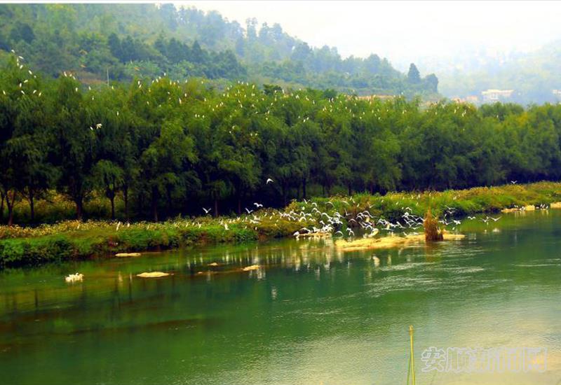 黄果树湿地公园.jpg