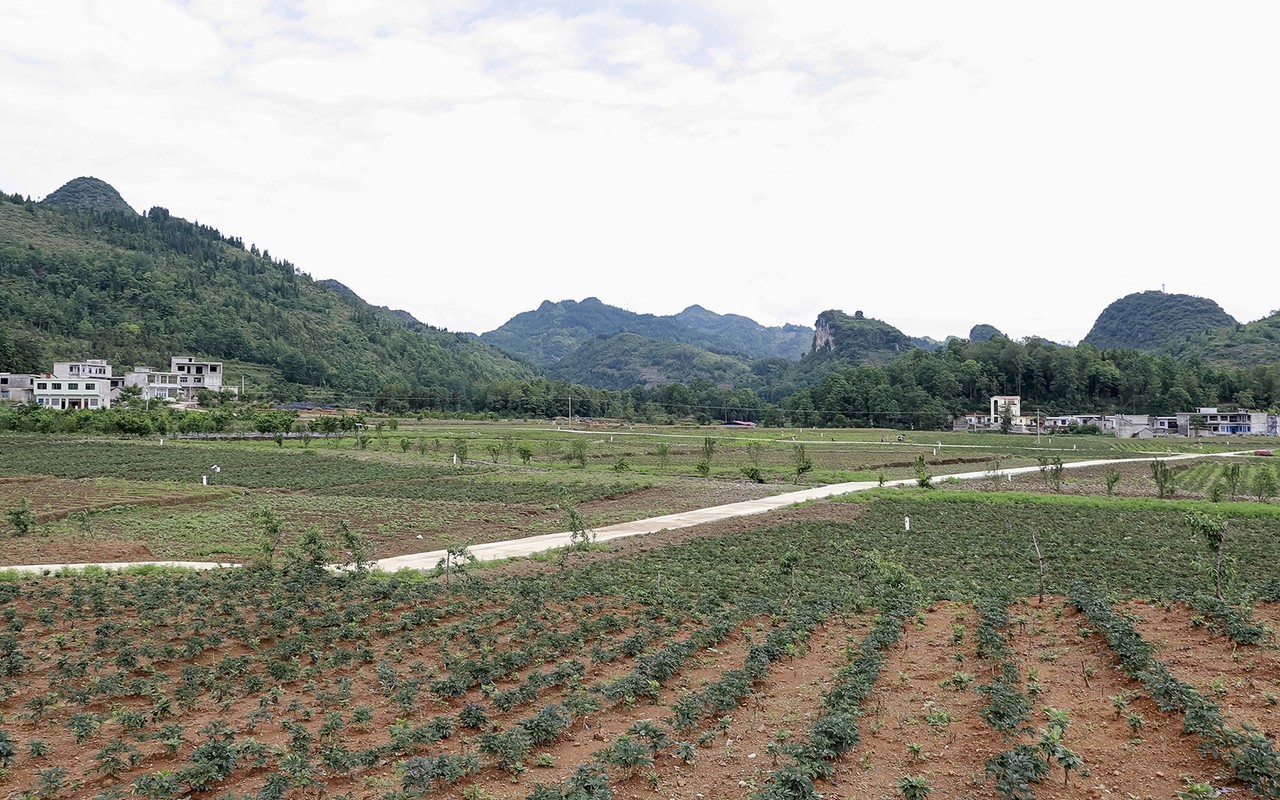 花江镇永睦坝区.jpg