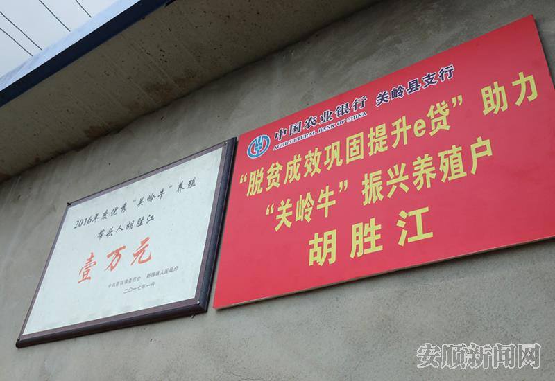 e85c14d5-0f09-4ae6-9097-6f16bad61ceb_IMAGE_4.jpg