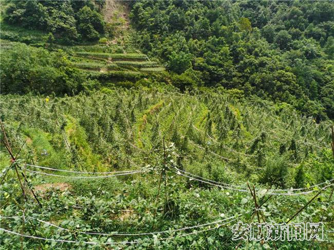 蔬菜基地.jpg