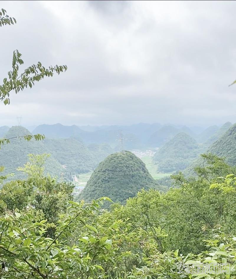 在古城墙所在地山顶远眺.jpg