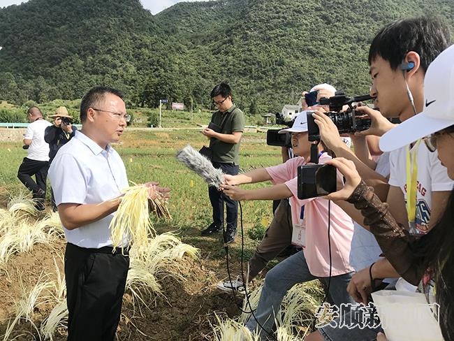 记者团就普定县韭黄产业发展情况进行采访.jpg