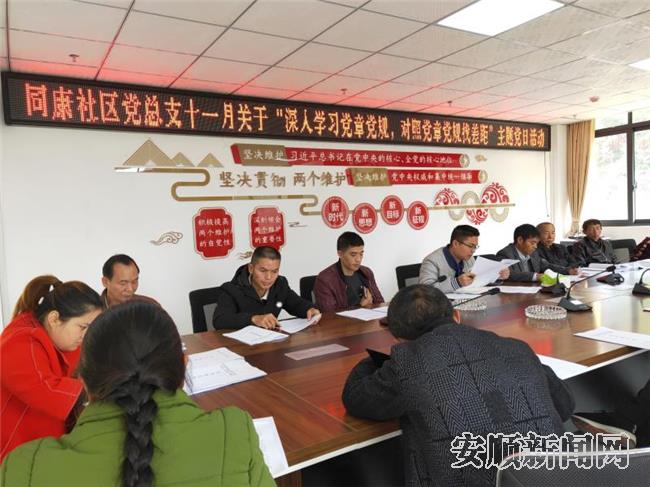 同康社区党总支开展主题党日活动.jpg