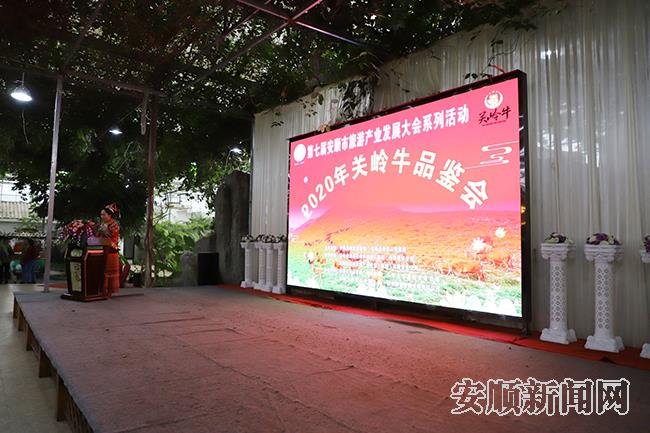 关岭开展第七届安顺市旅游产业发展大会系列活动——关岭牛品鉴暨永宁明清古镇夜游活动.jpg