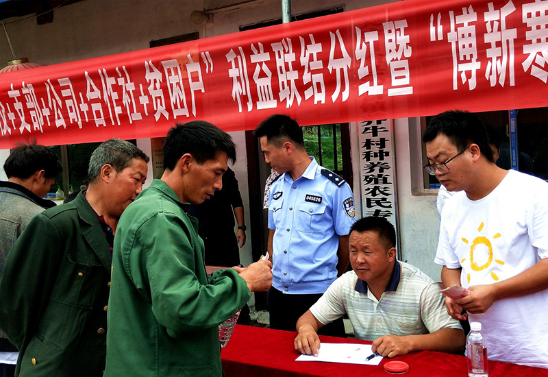 b897acf7-a0be-461c-8235-c96e6a3a9fd8_IMAGE_0.jpg