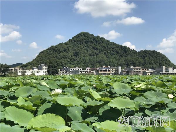 mobileText_IMAGE_27017.jpg