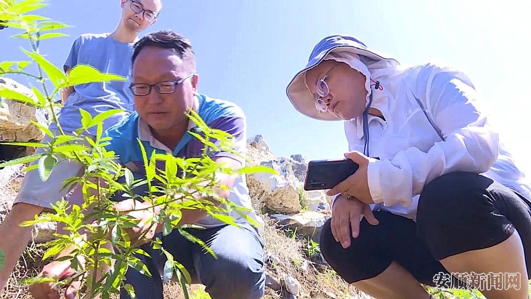 农技专家正在教授当地干群花椒种植技术.jpg