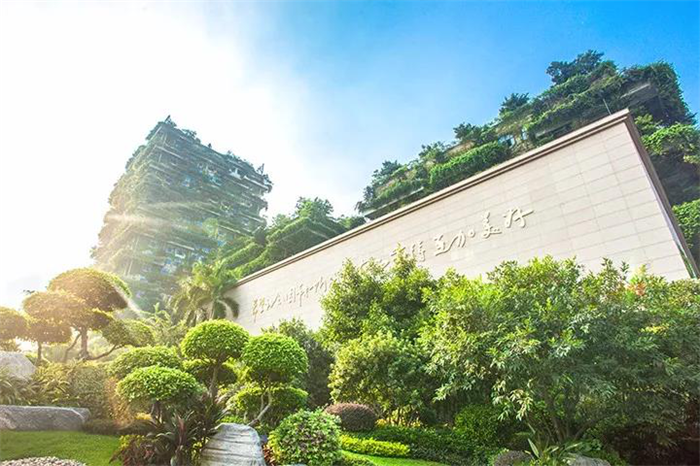 7月励志季,看过碧桂园再买房