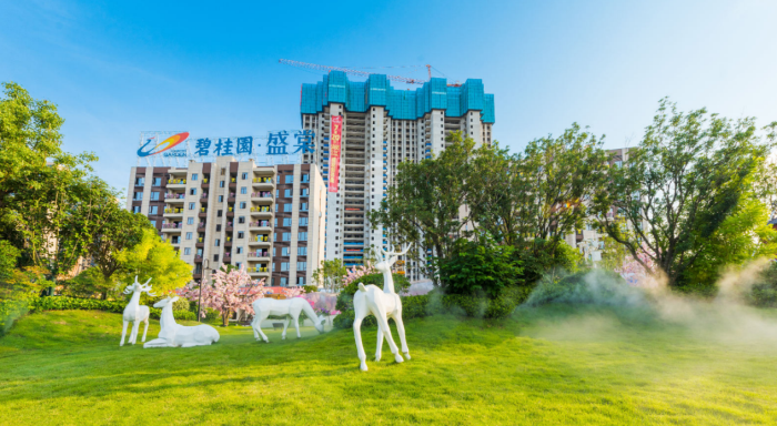 7月励志季,看过碧桂园再买房